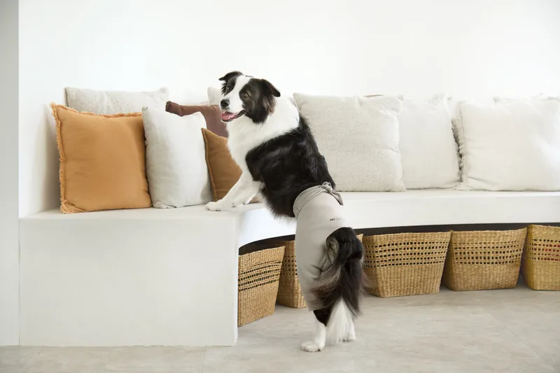 Mooie on set during a photoshoot