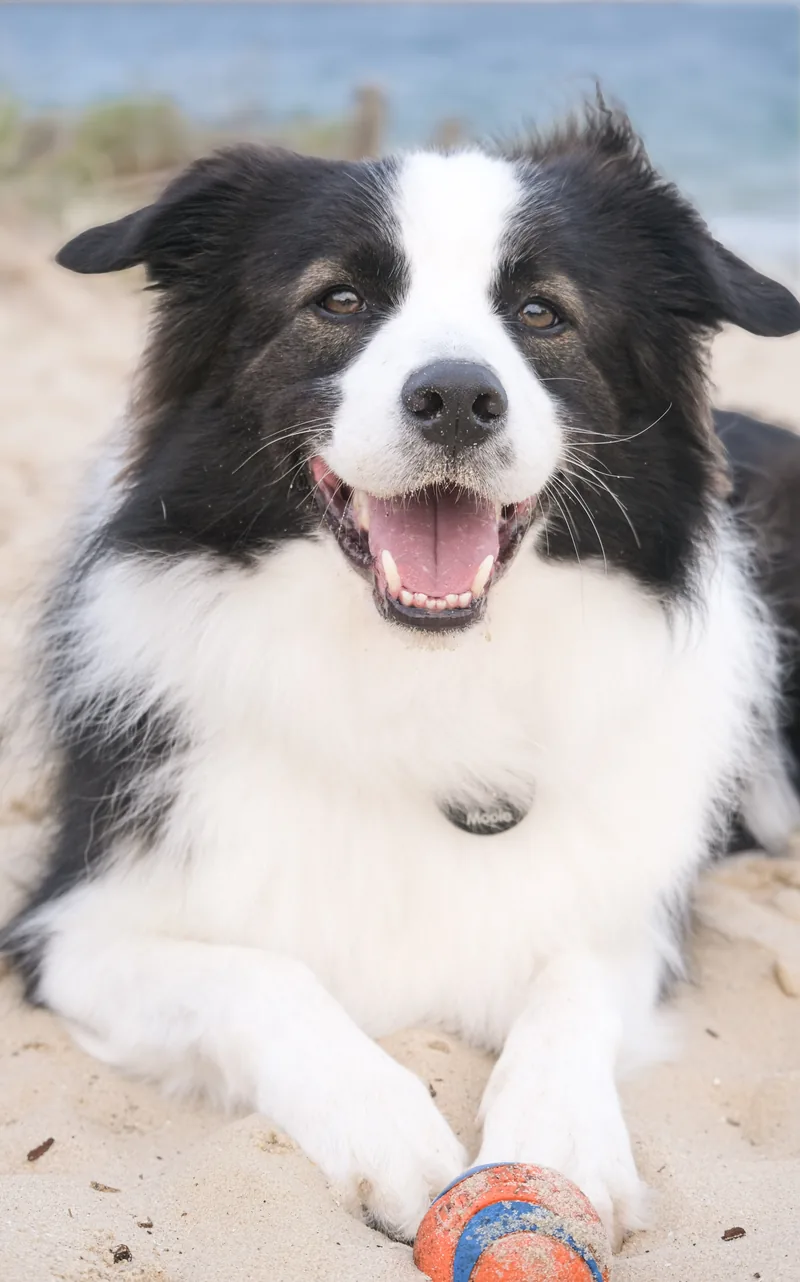 Mooie on the beach